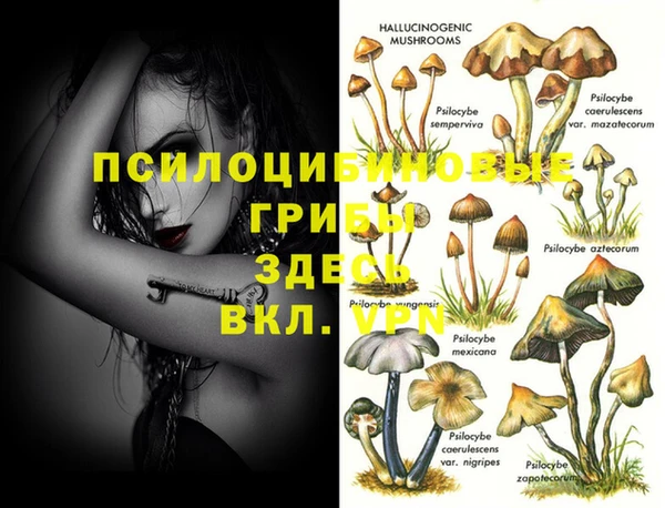 Альфа ПВП Беломорск