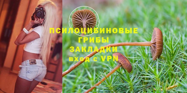 Альфа ПВП Беломорск