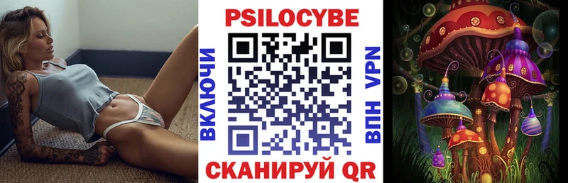 Псилоцибиновые грибы мицелий  Цоци-Юрт 